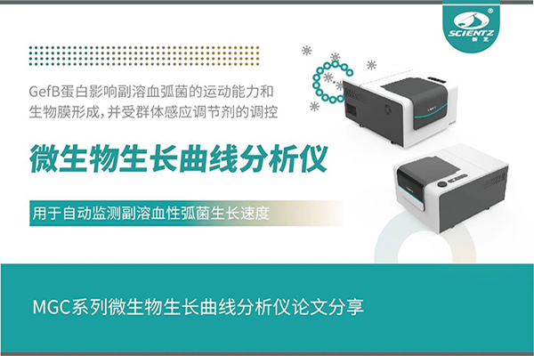 論文分享｜群體感應調控GefB蛋白抑制副溶血性弧菌運動及生物膜形成機制解析