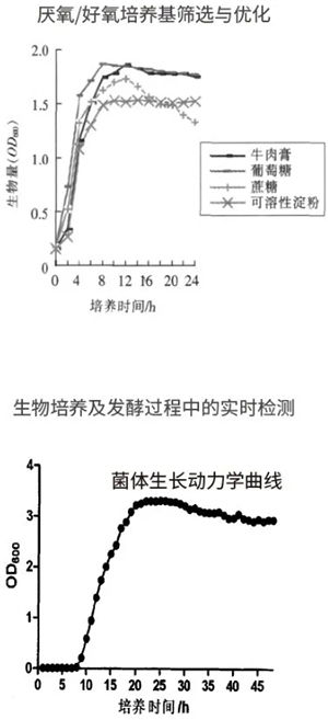 過程安全，結果精準